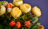 Flower in Focus: The Peony