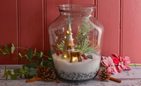 How To- Christmas Terrarium