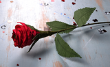 How-to: Crepe Paper Rose