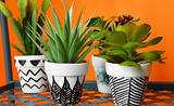 How-to: Decorative Plant Pots