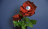 How-to: Halloween Eyeball Rose.