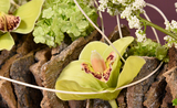 How-to: Rustic Bark Stand