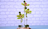 How-to: Rustic Bud Vase