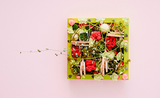 How-to Textured Wall Garden
