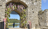 Leeds Castle: Day 2 of Festival of Flowers Prep