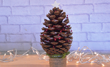 Make It Monday: Pine cone Christmas Tree!