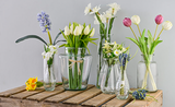 Our Favourite Spring Flowers