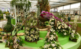 RHS Chelsea & Our Collaborations