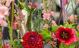 RHS Tatton Flower Show: Tracy Rowbottom