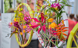 Tracy Rowbottom at the Chelsea Flower Show
