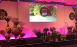 Vision 2017: British Florist Association