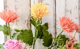 Wild Meadow Spring Summer Trend 2016