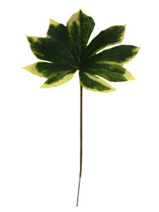 Artificial Variegated Aralia Leaf