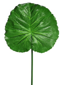 Raindrop Lotus Leaf 76 cm