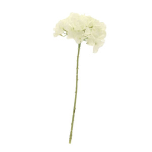 Short Stem Single Hydrangea Cream