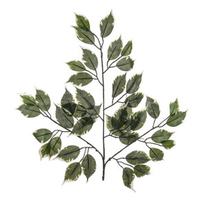 Artificial Ficus Branch Variegated 50 cm from Country Baskets