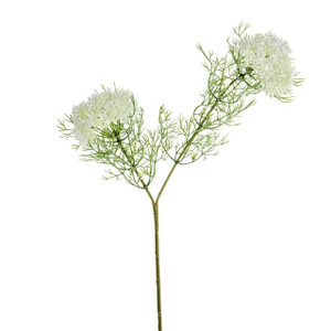 Elderflower Spray Cream 57 cm from Country Baskets