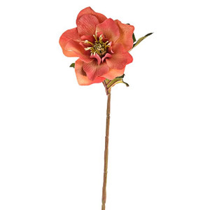 Hellebore Stem Pink 49 cm from Country Baskets