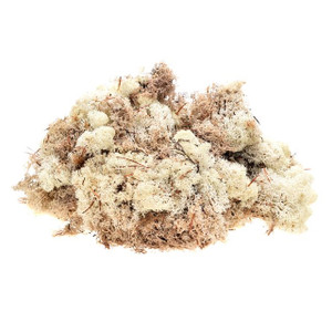 Natural Finland Moss 500 g from Country Baskets