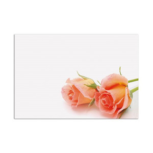 Oasis Small Card Blank Peach Roses from Country Baskets Oasis Small Card Blank Peach Roses from Country Baskets