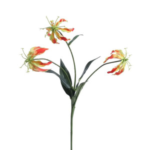 Gloriosa Spray Red 50 cm from Country Baskets