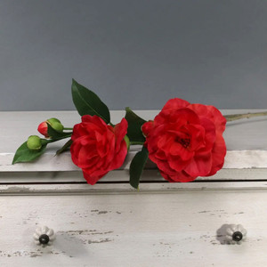 Tintagel Camelia Red from Country Baskets