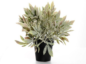 Artificial Potted Sage 24 cm Artificial Potted Sage 24 cm