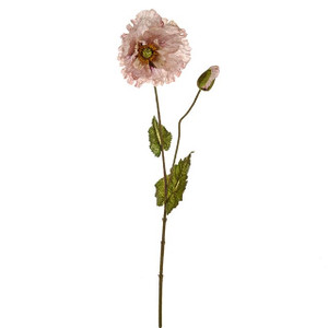 Pretty Poppy Blush 67 cm