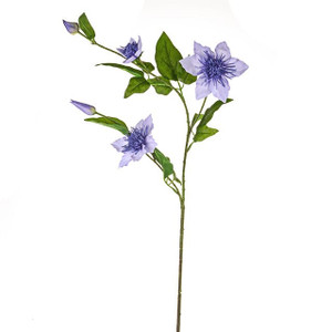 Elsa Clematis Lilac 79 cm