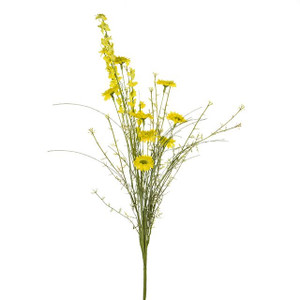 English Heath Daisy Mix Bunch Yellow