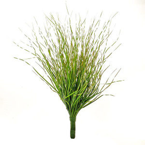 Onion Grass Bush 46 cm