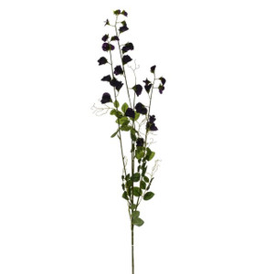 Sweet Pea Spray Plum 119 cm