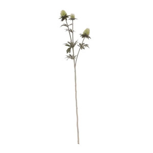 Spray Thistle Green 3 Head