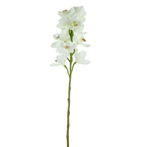 Tintagel Cybidium Orchid White from Country Baskets