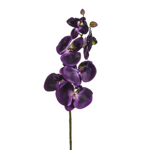 Artificial Phalaenopsis Orchid Purple 75 cm