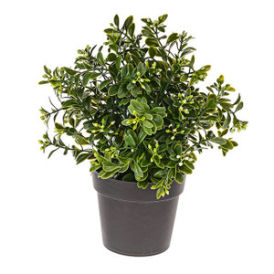 Bloom Potted Leaf & Bud 24 cm