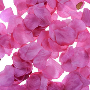 Rose Petal Box Hot Pink 164pcs per pack Rose Petal Box Hot Pink 164pcs per pack