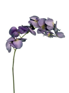 Artificial Eternity Orchid Purple 87 cm from Country Baskets