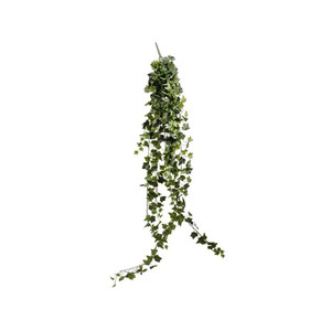 Sandringham Ivy Bush Green 423  Leaves