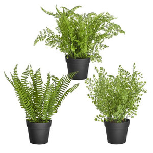 Artificial Potted Ferns Assorted Leaf Design