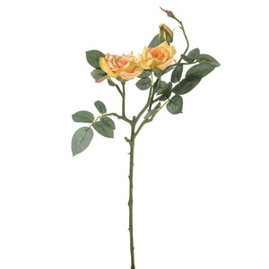 Jade Royal Rose x3 Yellow 64cm from Country Baskets