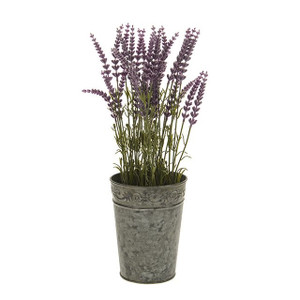 Lavender In Tin Pot 41Cm