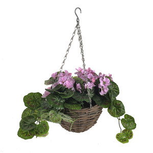 Geranium Hanging Basket Pink Geranium Hanging Basket Pink