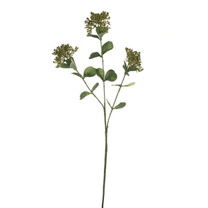 Achillea Spray Lt Green 69cm from Country Baskets Achillea Spray Lt Green 69cm from Country Baskets