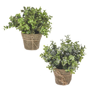 Artificial Potted Eucalyptus In Hessian Assorted Colours from Country Baskets