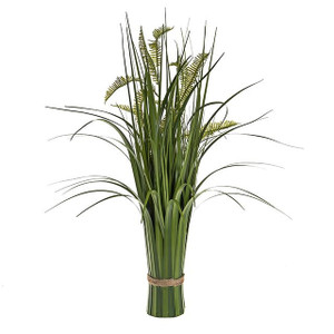 Grass Bundle Dragon Fern