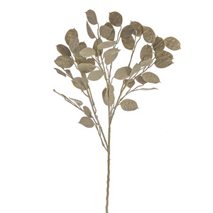 Silver Dollar Spray Gold 68Cm