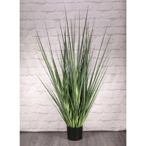 Potted Flat Grass 122cm from Country Baskets