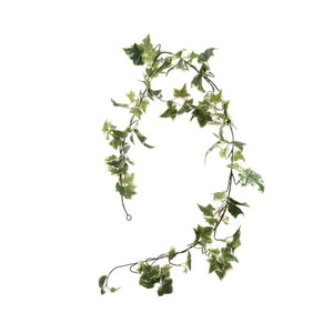 Holland Ivy Garland X 97 Leaves from Country Baskets