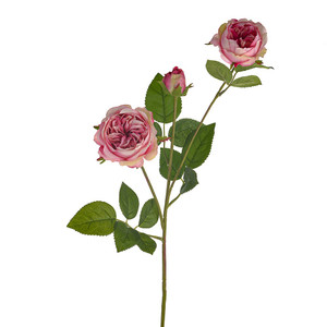 SORBET ENGLISH ROSE SPRAY PINK 64CM